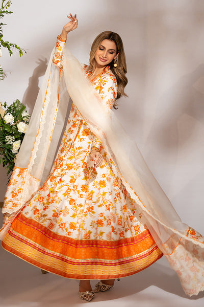 Amna Arshad | Zolu Collection 24 | Somaya - Official Amna Arshad stockist in UK - Sakeena London
