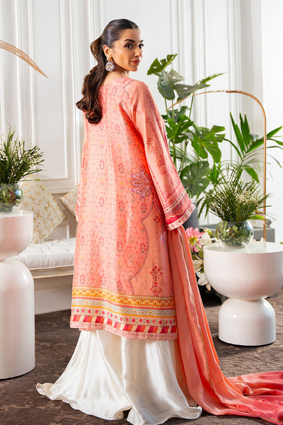 Amna Arshad | Zolu Collection 24 | Shenaya - Official Amna Arshad stockist in UK - Sakeena London