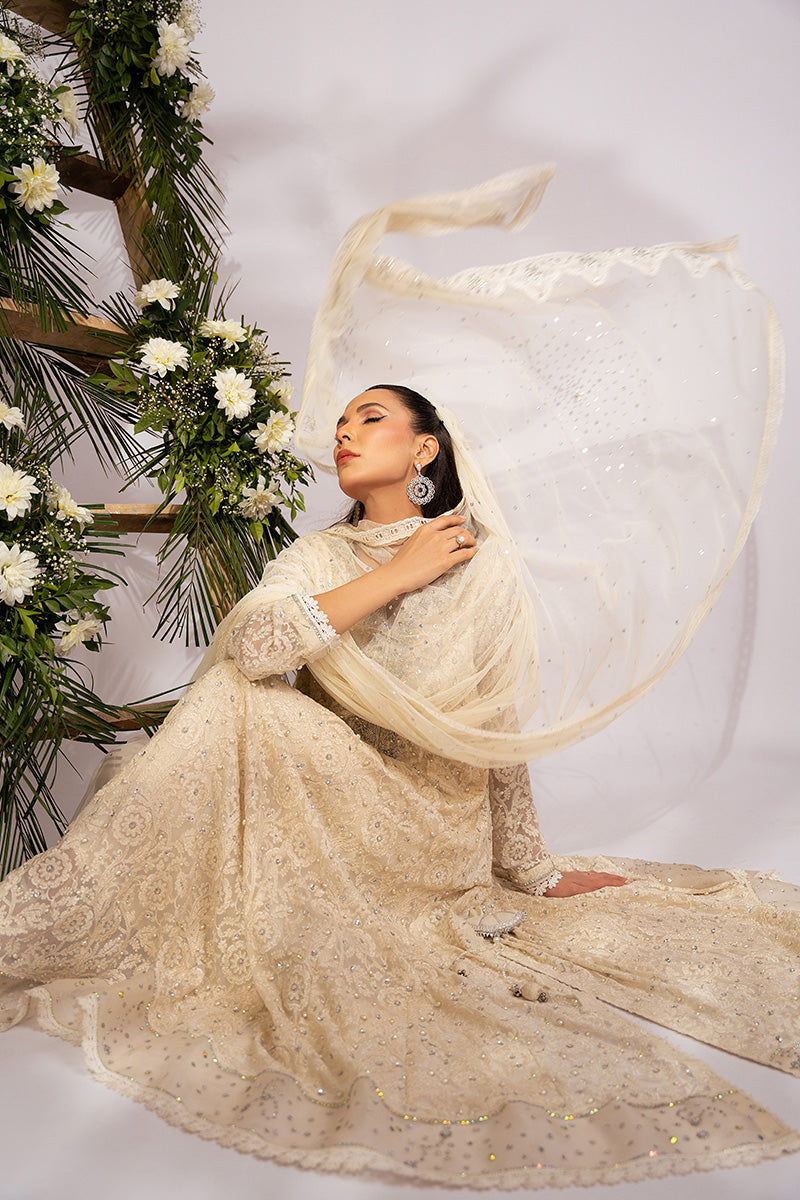 Amna Arshad | Zolu Collection 24| Amaira - Official Amna Arshad stockist in UK - Sakeena London