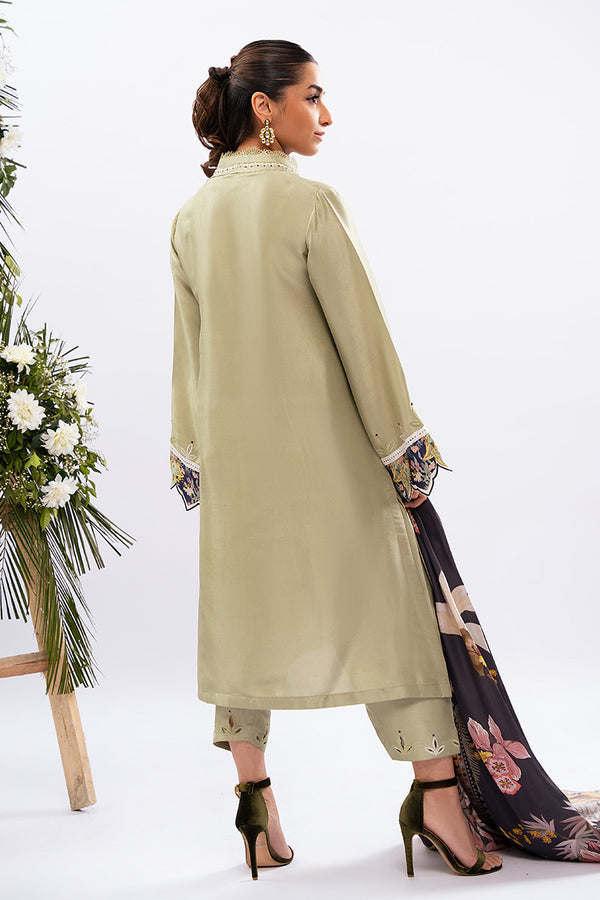 Amna Arshad | Zolu Collection 24| Dilara - Official Amna Arshad stockist in UK - Sakeena London