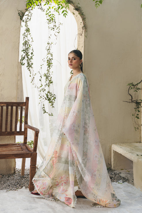 Aabyaan | Shezlin Chikankari 25 | ELIF (AF-07) - Official Aabyaan stockist in UK - Sakeena London