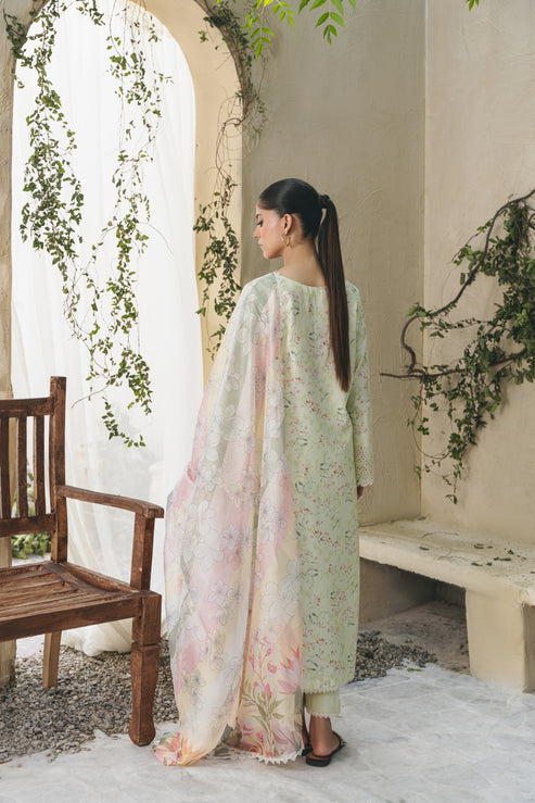 Aabyaan | Shezlin Chikankari 25 | ELIF (AF-07) - Official Aabyaan stockist in UK - Sakeena London