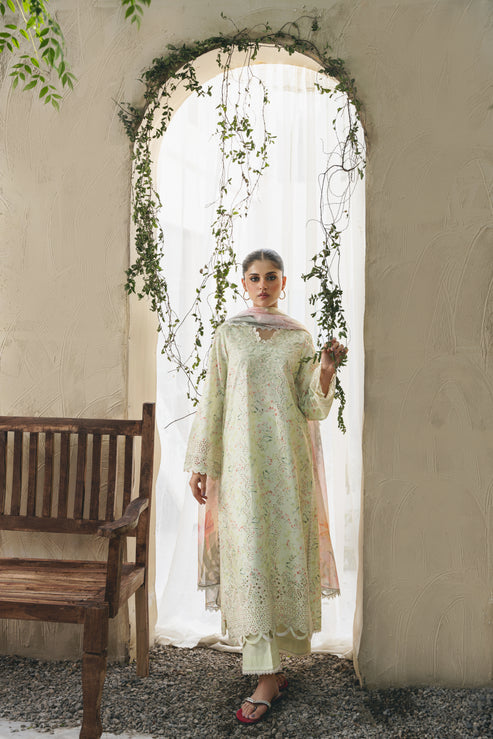 Aabyaan | Shezlin Chikankari 25 | ELIF (AF-07) - Official Aabyaan stockist in UK - Sakeena London