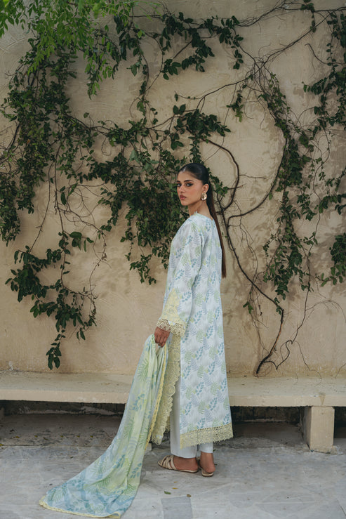 Aabyaan | Shezlin Chikankari 25 | MAYA (AF-08) - Official Aabyaan stockist in UK - Sakeena London