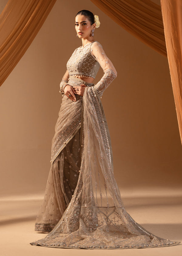 Paras by Pasha | Noor -e- Jahan Saree Collection | Abr-e-Shaam - Official Paras by Pasha stockist in UK - Sakeena London