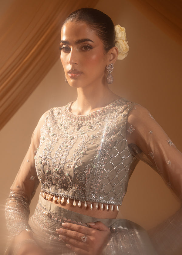 Paras by Pasha | Noor -e- Jahan Saree Collection | Abr-e-Shaam - Official Paras by Pasha stockist in UK - Sakeena London