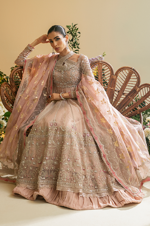 Nyra | Vasl Festive Edit 24 | Zunia - Official Nyra stockist in UK - Sakeena London