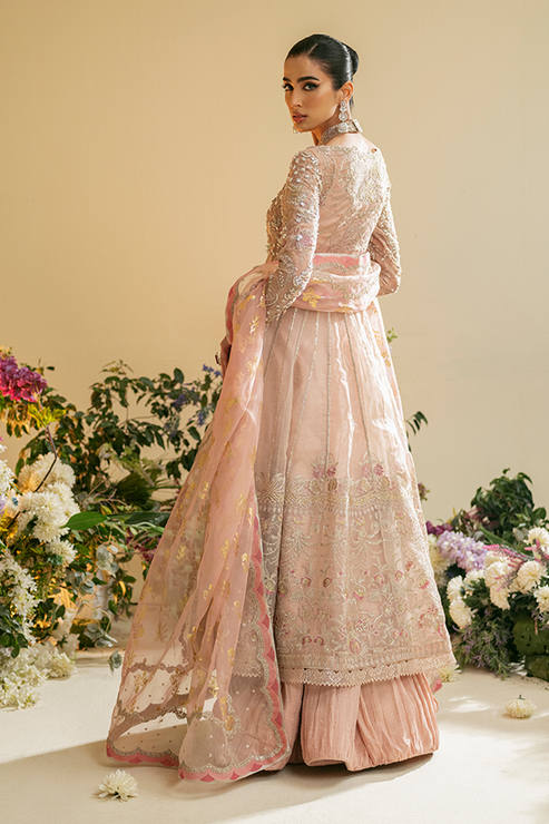 Nyra | Vasl Festive Edit 24 | Zunia - Official Nyra stockist in UK - Sakeena London