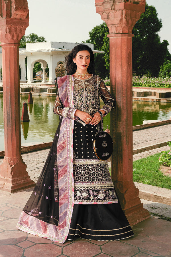 Raeesa Premium | Zauj Formals 25 | AAK - 02 - Official Raeesa Premium stockist in UK - Sakeena London