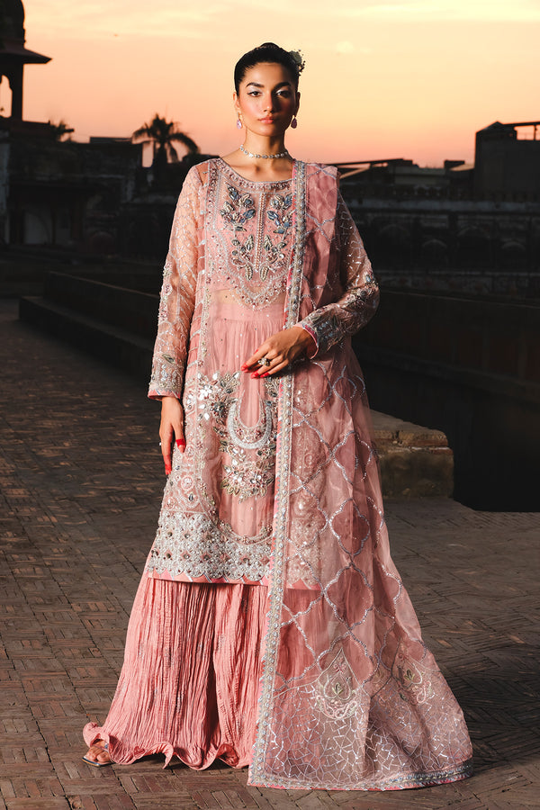 Raeesa Premium | Zauj Formals 25 | AAK - 03 - Official Raeesa Premium stockist in UK - Sakeena London