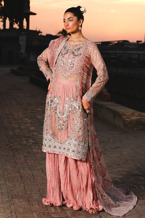 Raeesa Premium | Zauj Formals 25 | AAK - 03 - Official Raeesa Premium stockist in UK - Sakeena London