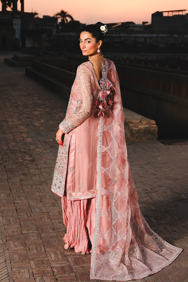 Raeesa Premium | Zauj Formals 25 | AAK - 03 - Official Raeesa Premium stockist in UK - Sakeena London