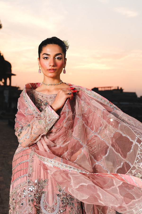 Raeesa Premium | Zauj Formals 25 | AAK - 03 - Official Raeesa Premium stockist in UK - Sakeena London