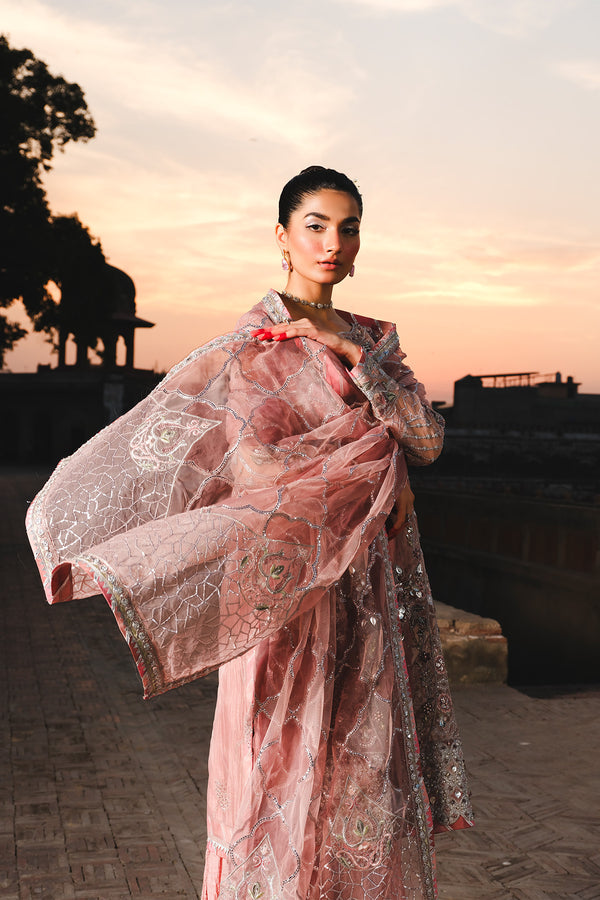 Raeesa Premium | Zauj Formals 25 | AAK - 03 - Official Raeesa Premium stockist in UK - Sakeena London