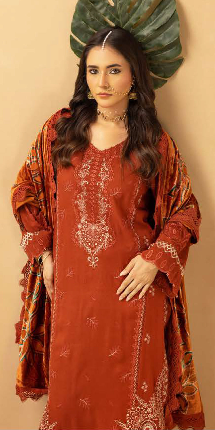 Riaz Arts | Dastaan Winter 25 | DS-20 - Official Riaz Arts stockist in UK - Sakeena London