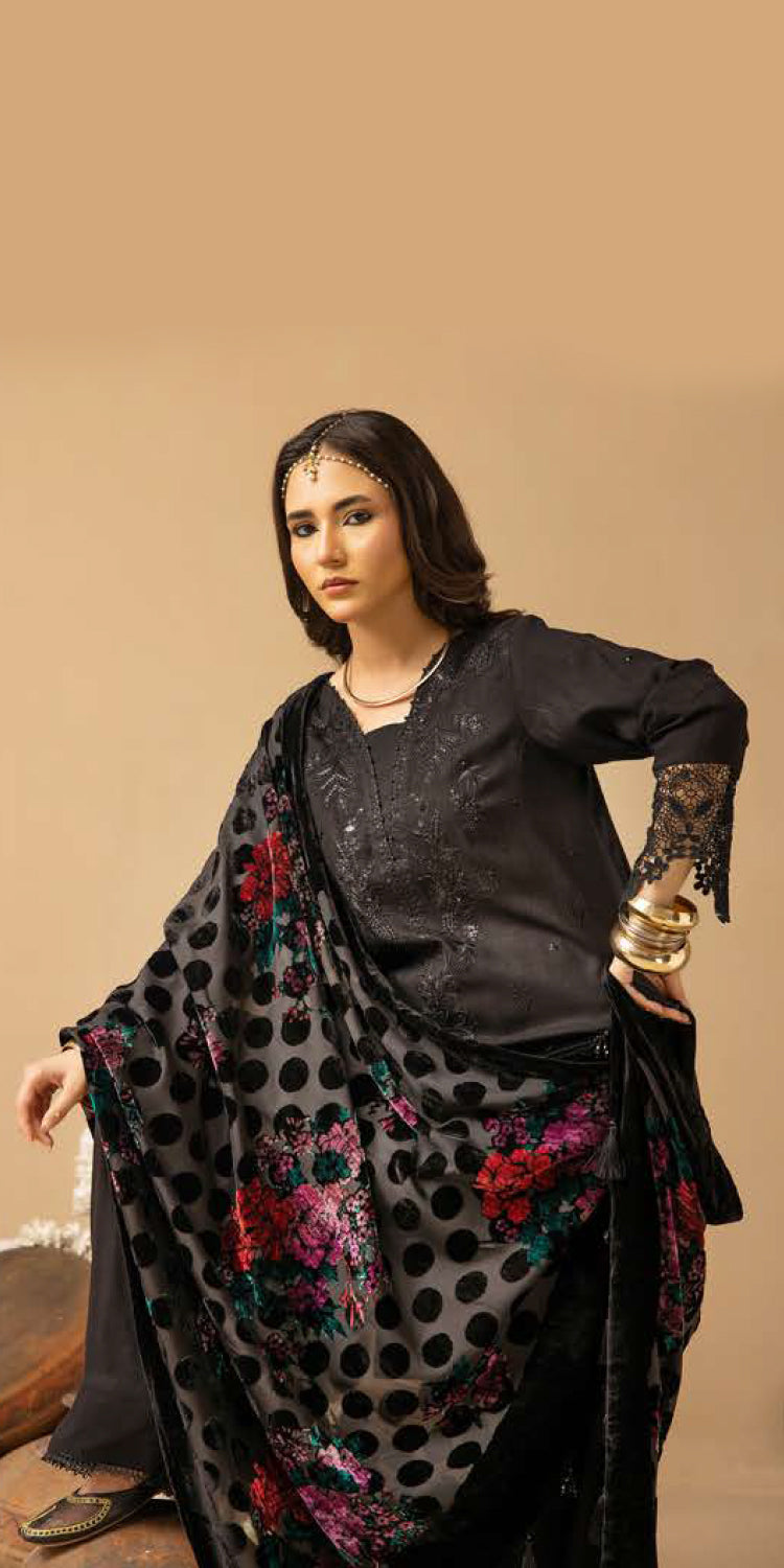 Riaz Arts | Dastaan Winter 25 | DS-19 - Official Riaz Arts stockist in UK - Sakeena London