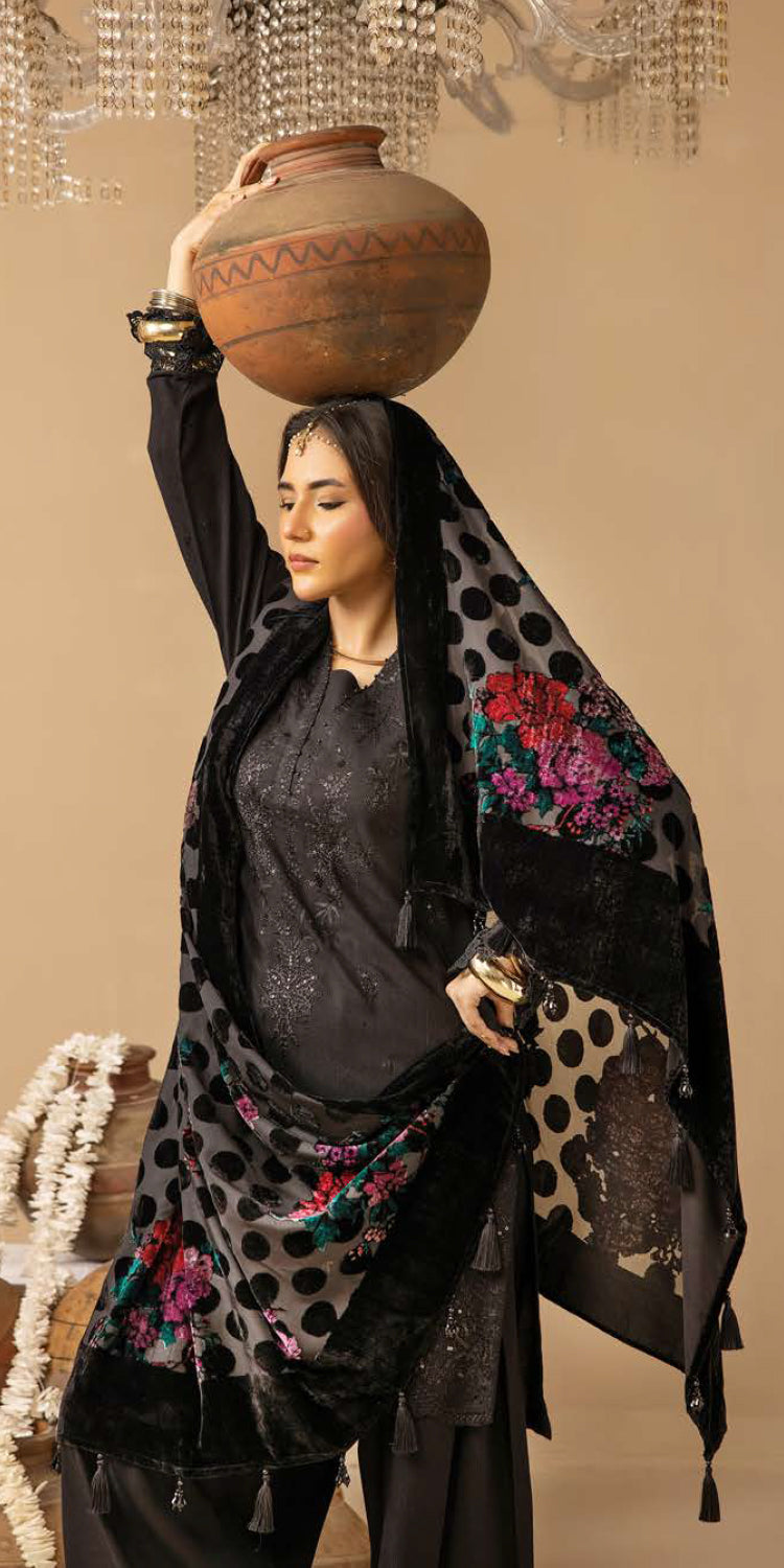 Riaz Arts | Dastaan Winter 25 | DS-19 - Official Riaz Arts stockist in UK - Sakeena London