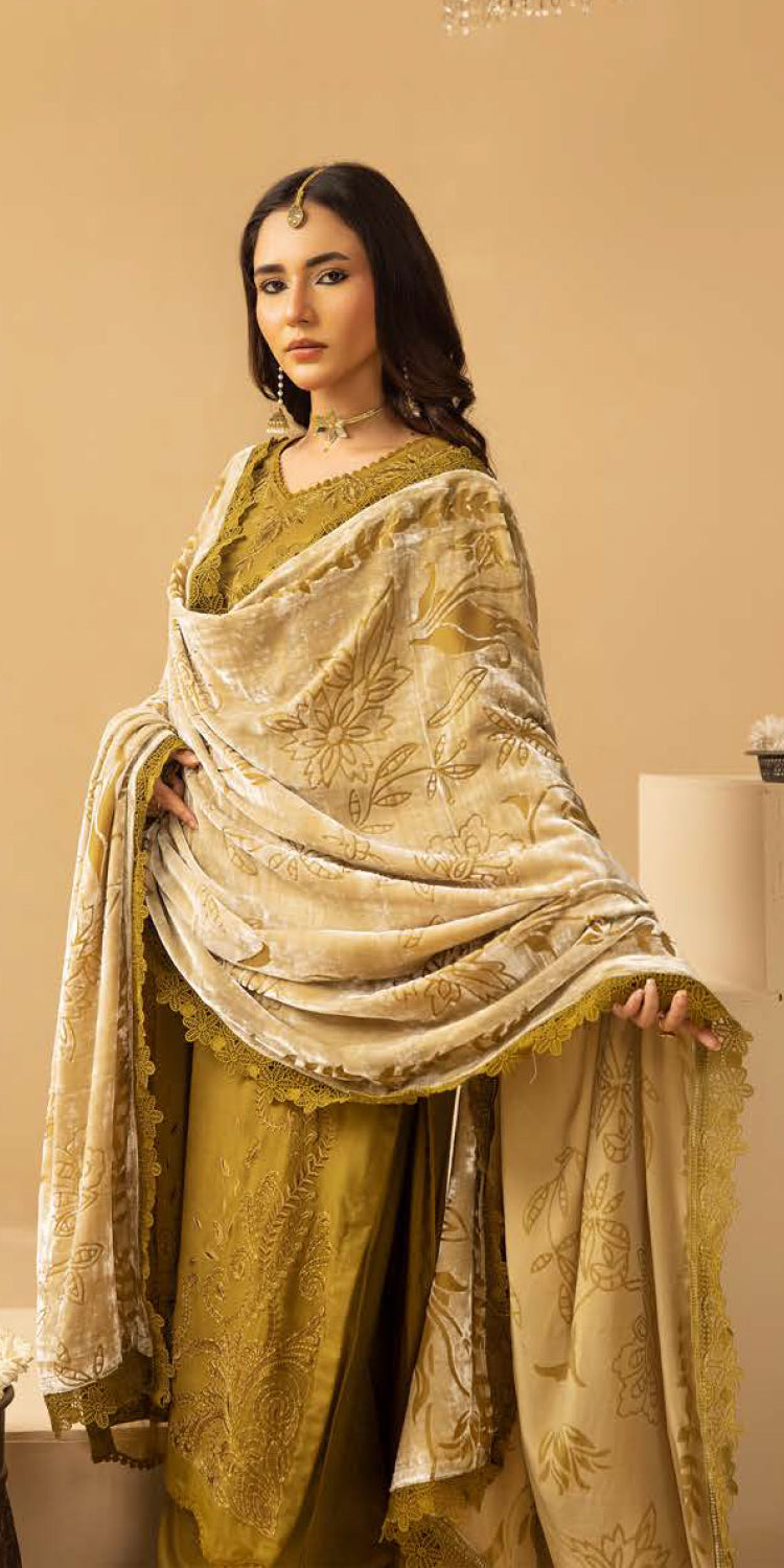 Riaz Arts | Dastaan Winter 25 | DS-18 - Official Riaz Arts stockist in UK - Sakeena London
