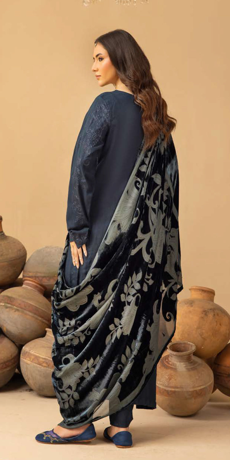 Riaz Arts | Dastaan Winter 25 | DS-22 - Official Riaz Arts stockist in UK - Sakeena London