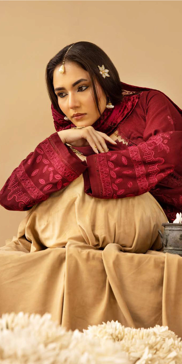 Riaz Arts | Dastaan Winter 25 | DS-17 - Official Riaz Arts stockist in UK - Sakeena London