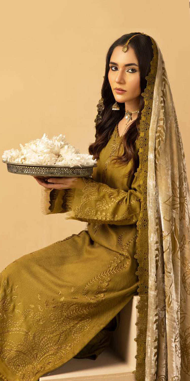 Riaz Arts | Dastaan Winter 25 | DS-18 - Official Riaz Arts stockist in UK - Sakeena London