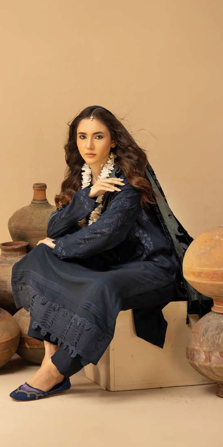Riaz Arts | Dastaan Winter 25 | DS-22 - Official Riaz Arts stockist in UK - Sakeena London