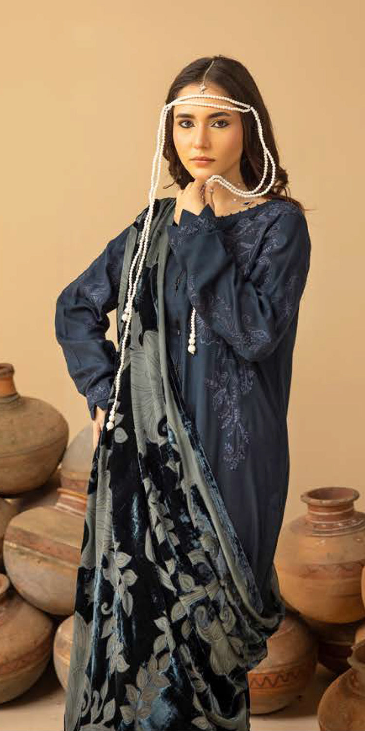 Riaz Arts | Dastaan Winter 25 | DS-22 - Official Riaz Arts stockist in UK - Sakeena London