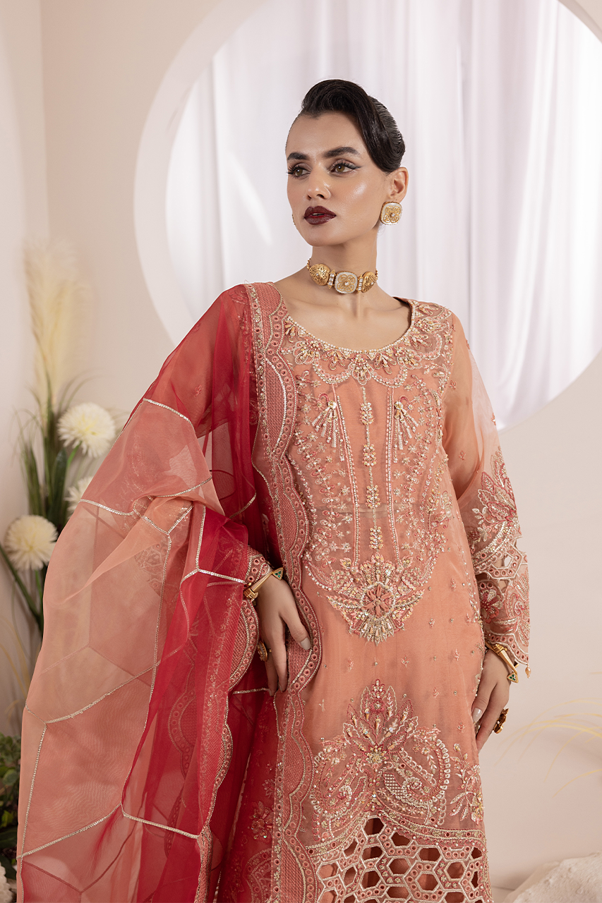 Diara Couture | Aaraish Formals | NOSHEEN - US-645 - Official Diara Couture stockist in UK - Sakeena London