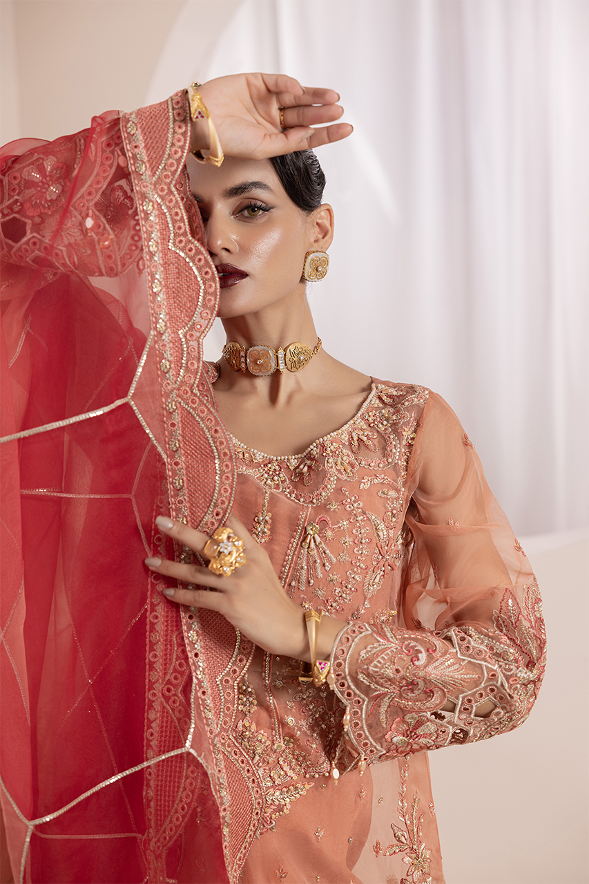 Diara Couture | Aaraish Formals | NOSHEEN - US-645 - Official Diara Couture stockist in UK - Sakeena London