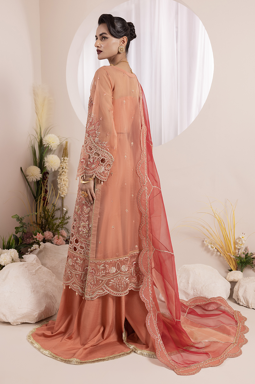 Diara Couture | Aaraish Formals | NOSHEEN - US-645 - Official Diara Couture stockist in UK - Sakeena London