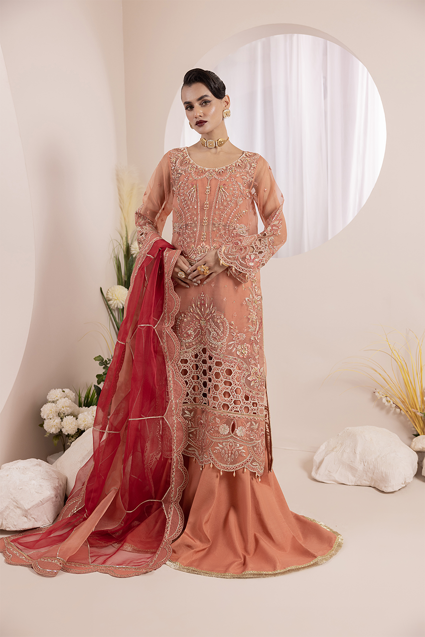 Diara Couture | Aaraish Formals | NOSHEEN - US-645 - Official Diara Couture stockist in UK - Sakeena London