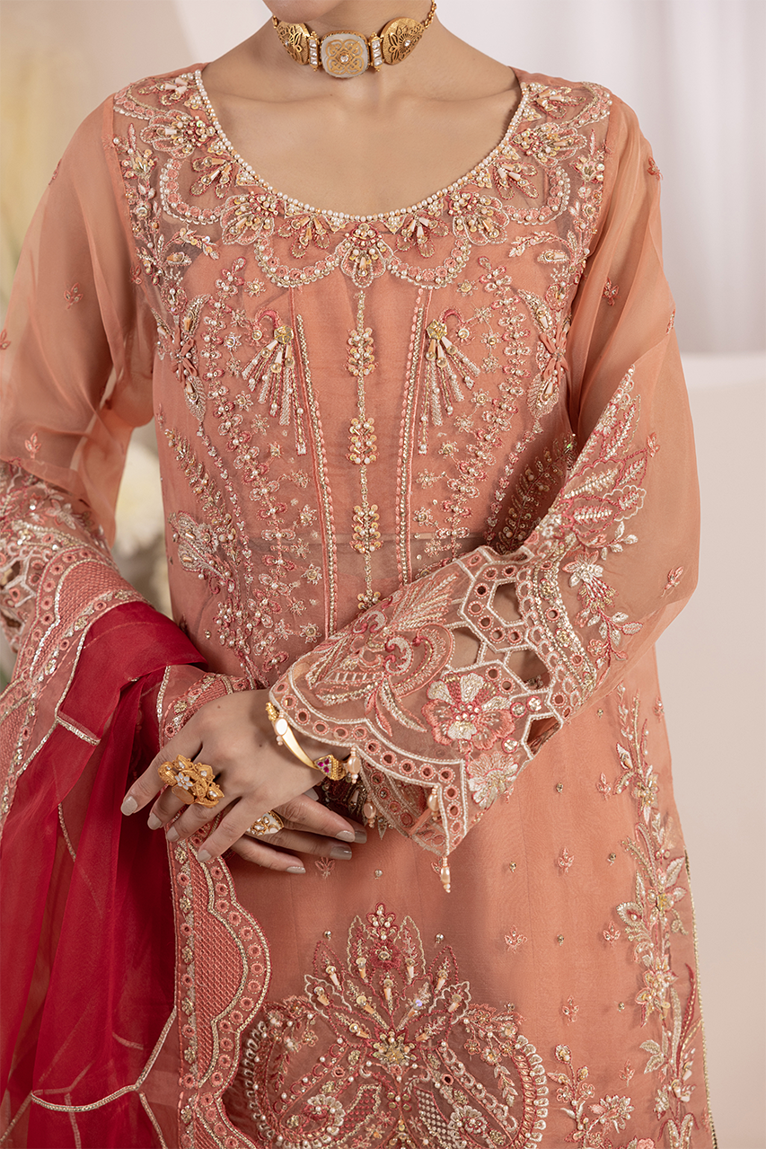 Diara Couture | Aaraish Formals | NOSHEEN - US-645 - Official Diara Couture stockist in UK - Sakeena London