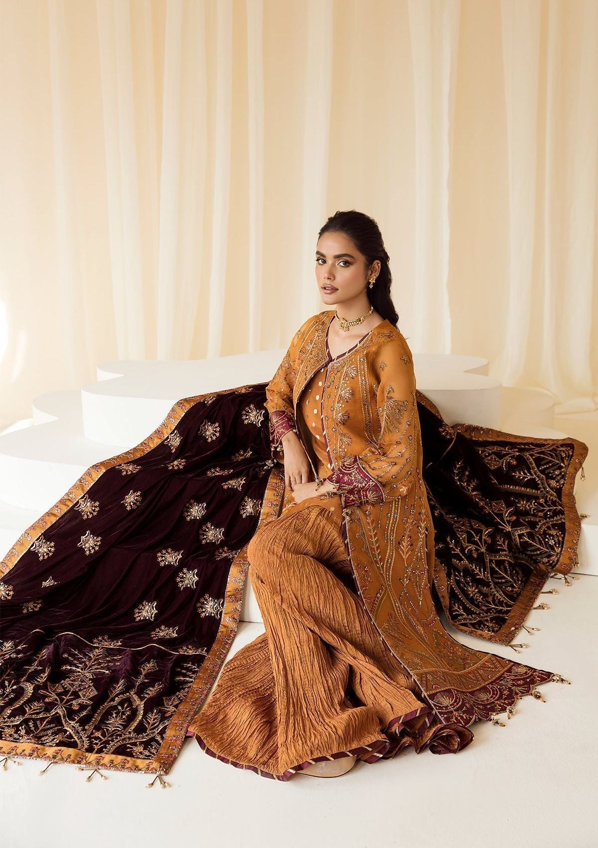 Formal Dress - Alizeh - Premium Velvet - D#3 (Zar Begum)