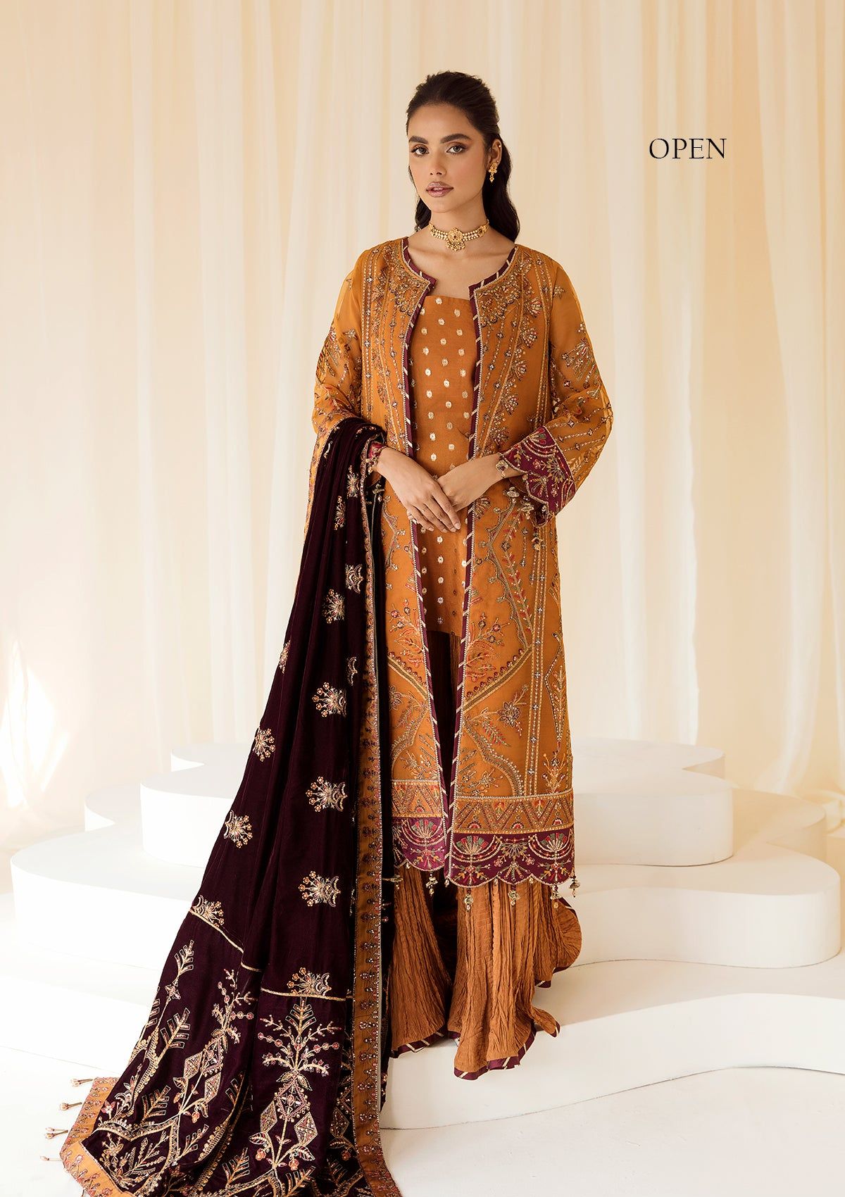 Formal Dress - Alizeh - Premium Velvet - D#3 (Zar Begum)