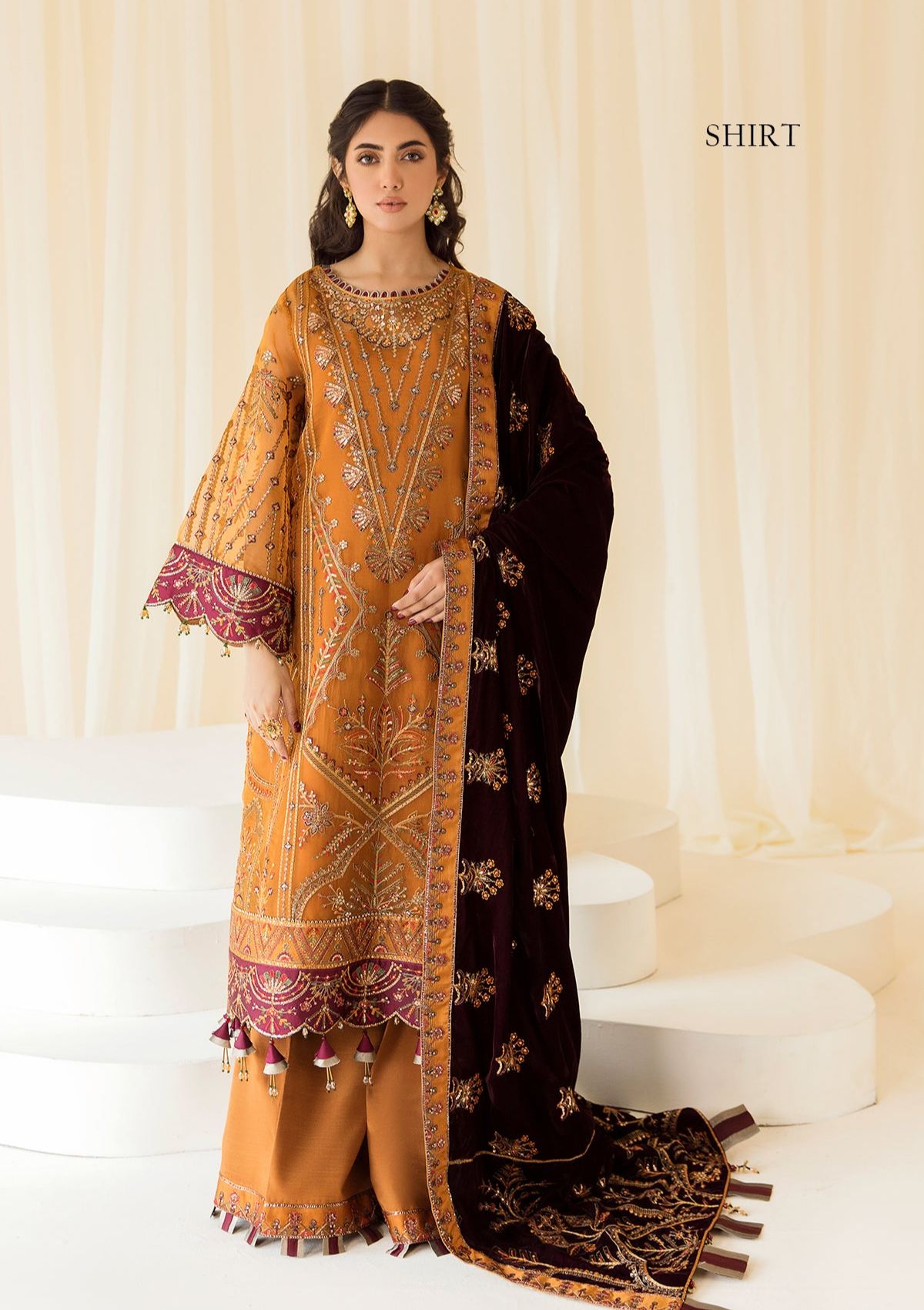 Formal Dress - Alizeh - Premium Velvet - D#3 (Zar Begum)