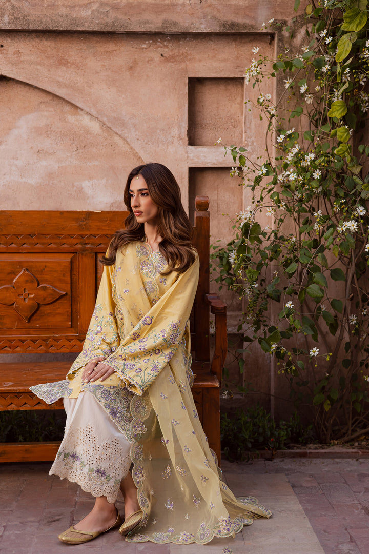 Batik | Winter 25 | Goldilocks