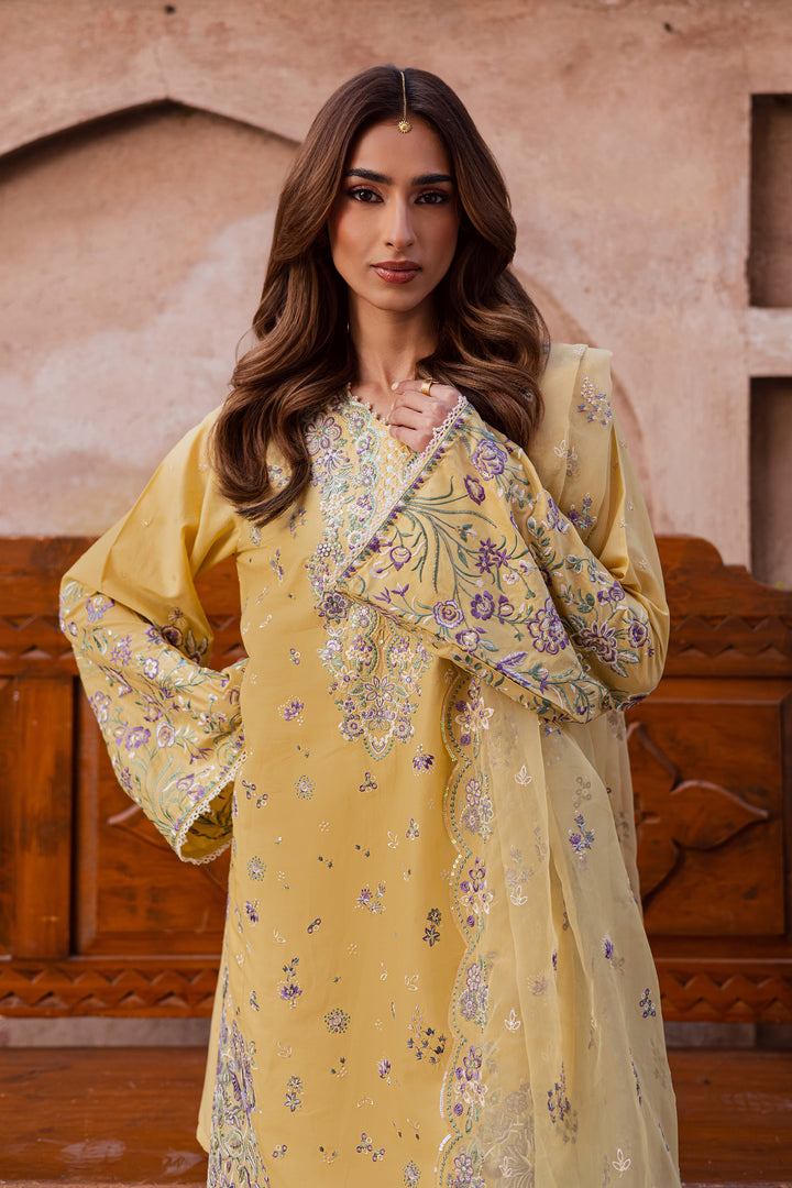 Batik | Winter 25 | Goldilocks