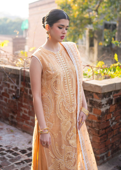 Ali Xeeshan | Chanda Luxury Pret | Inara - Official Ali Xeeshan stockist in UK - Sakeena London