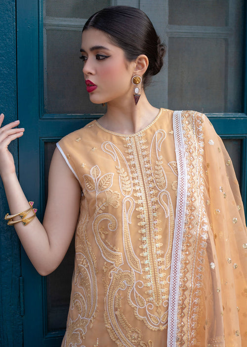 Ali Xeeshan | Chanda Luxury Pret | Inara - Official Ali Xeeshan stockist in UK - Sakeena London