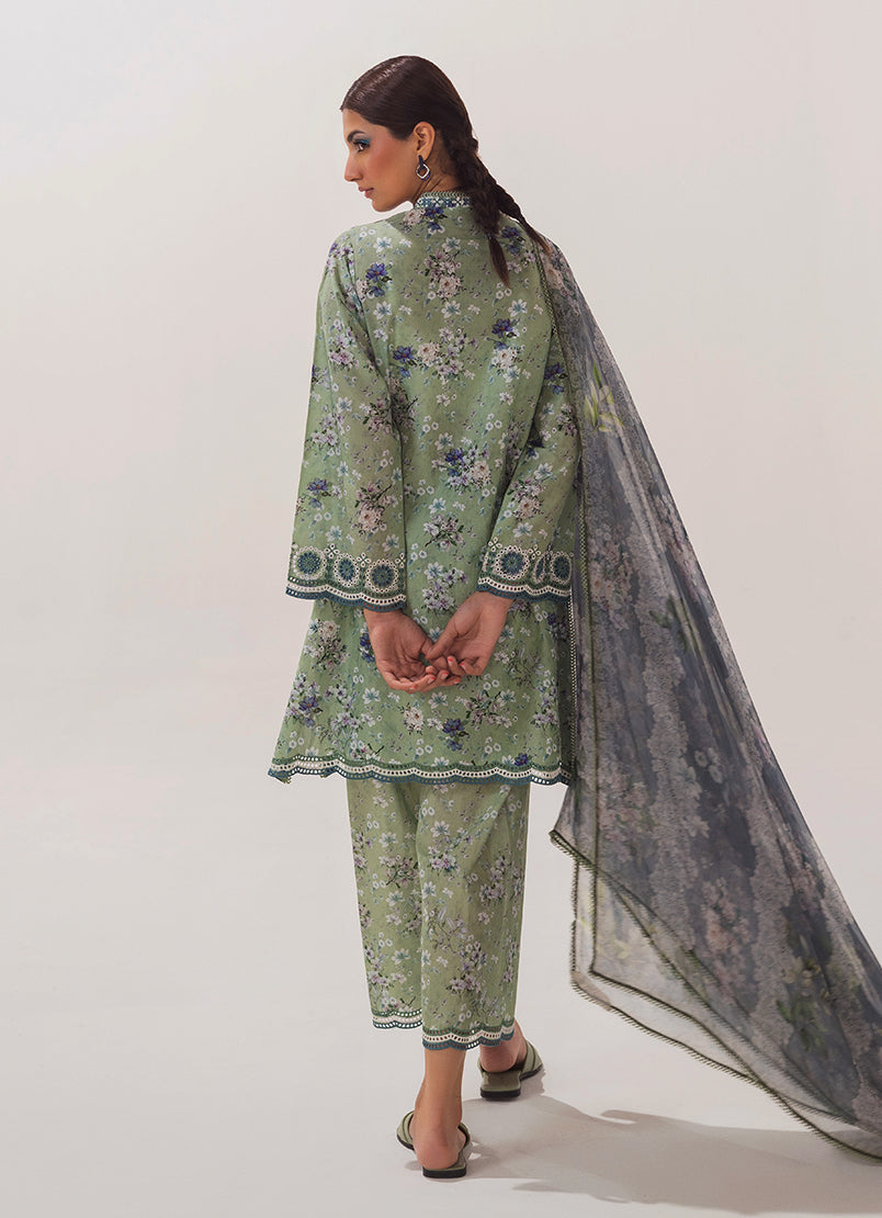 Image | Spring Basics 25 | IMPRSS-213973-12552 - Official Image stockist in UK - Sakeena London