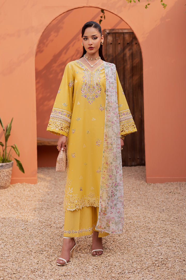 Batik | Winter 25 | Lime Darla