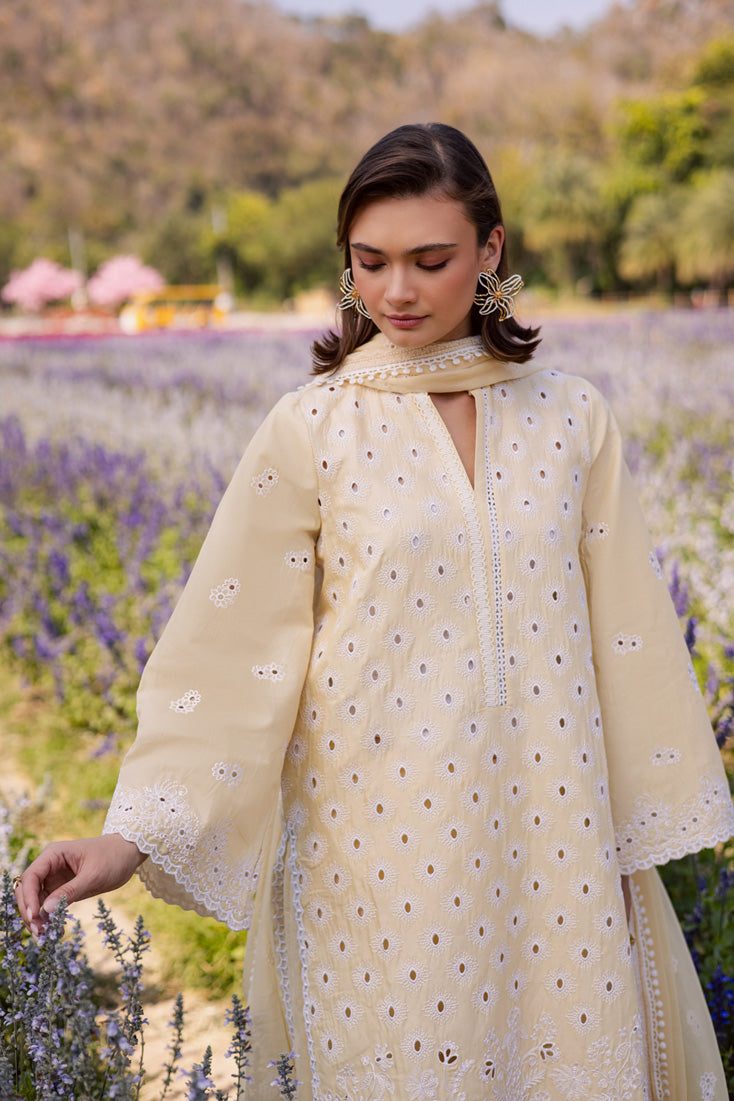 Marjjan | Silvia Lawn | MBL-31 A (Yellow)