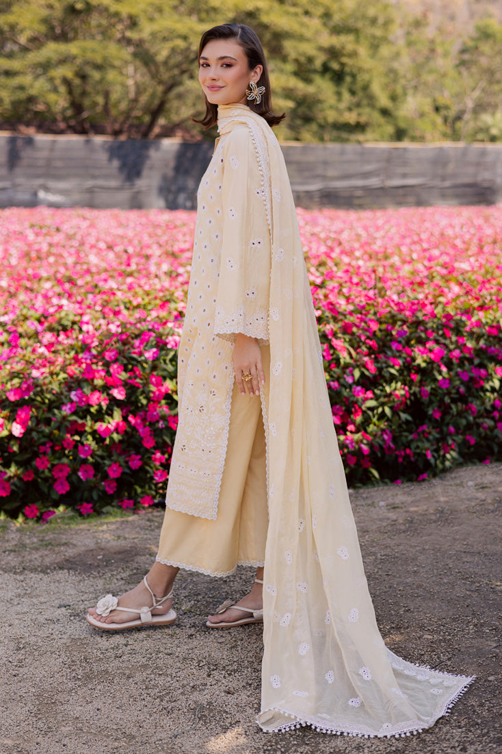 Marjjan | Silvia Lawn | MBL-31 A (Yellow)