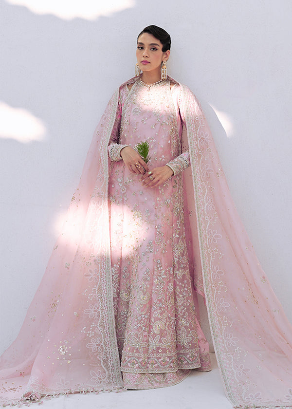 Suffuse | Freeshia Formal | FALEK - Official Suffuse stockist in UK - Sakeena London