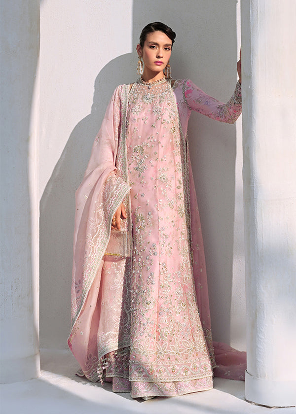 Suffuse | Freeshia Formal | FALEK - Official Suffuse stockist in UK - Sakeena London