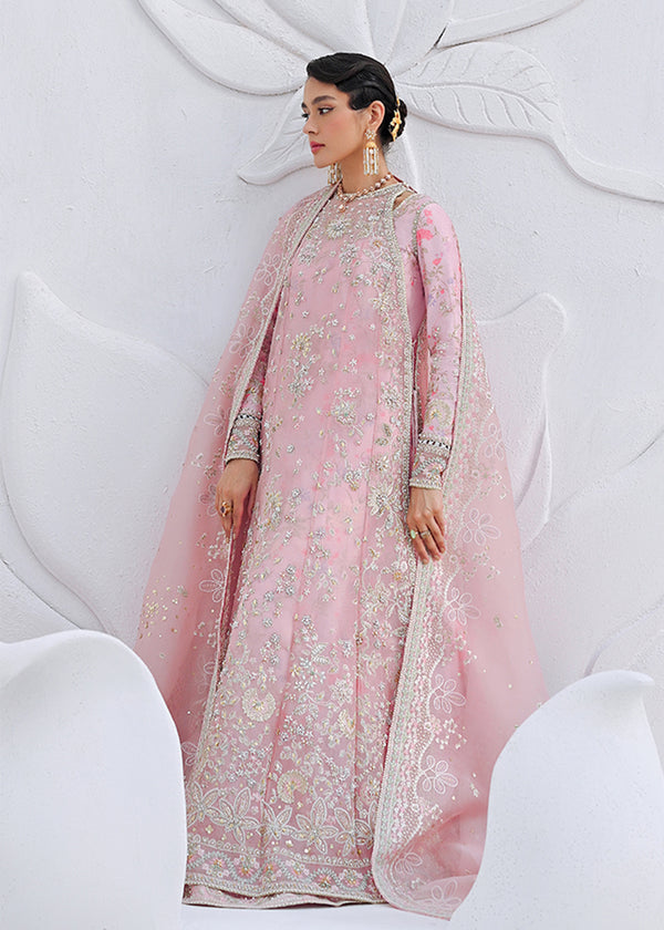 Suffuse | Freeshia Formal | FALEK - Official Suffuse stockist in UK - Sakeena London
