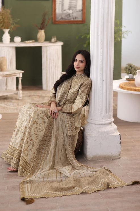 Mohagni | Ishq Aatish Formals | MGS-10 2PC MAXI Raw Silk - Official Mohagni stockist in UK - Sakeena London