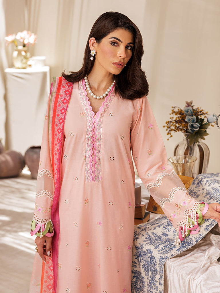 Rajbari | Nissa Chikankari Edition 25 | D# - 03 - Official Rajbari stockist in UK - Sakeena London