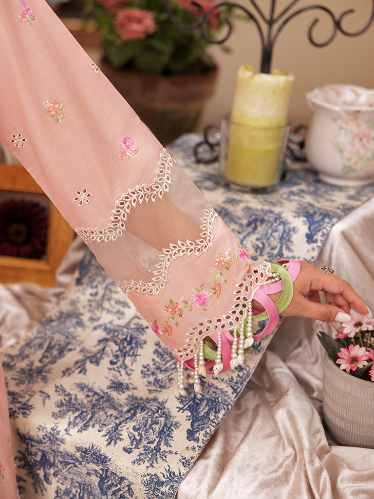 Rajbari | Nissa Chikankari Edition 25 | D# - 03 - Official Rajbari stockist in UK - Sakeena London
