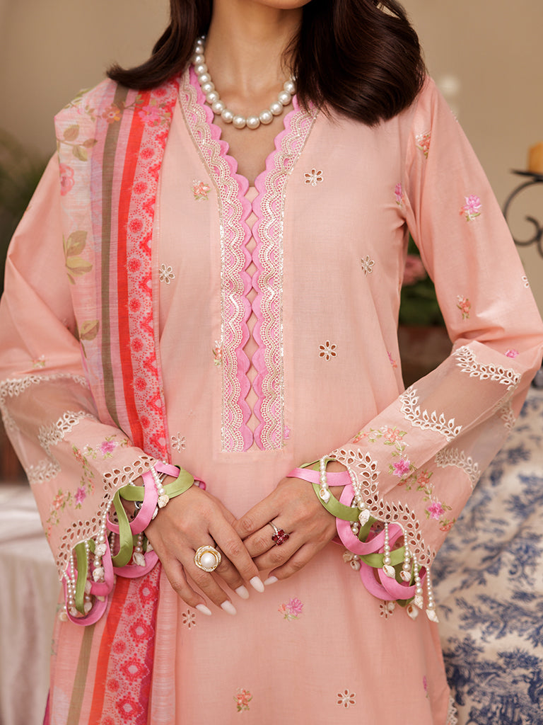 Rajbari | Nissa Chikankari Edition 25 | D# - 03 - Official Rajbari stockist in UK - Sakeena London